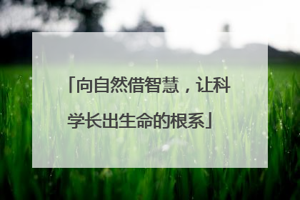 向自然借智慧，让科学长出生命的根系
