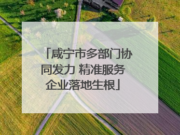 咸宁市多部门协同发力 精准服务企业落地生根
