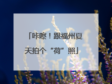 咔嚓！跟福州夏天拍个“荷”照