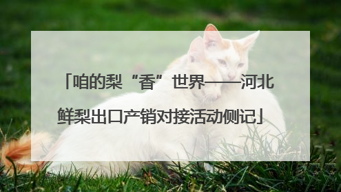 咱的梨“香”世界——河北鲜梨出口产销对接活动侧记