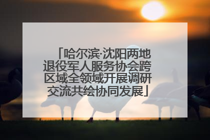 哈尔滨·沈阳两地退役军人服务协会跨区域全领域开展调研交流共绘协同发展