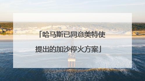 哈马斯已同意美特使提出的加沙停火方案
