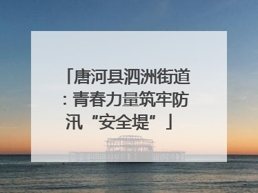 唐河县泗洲街道：青春力量筑牢防汛“安全堤”