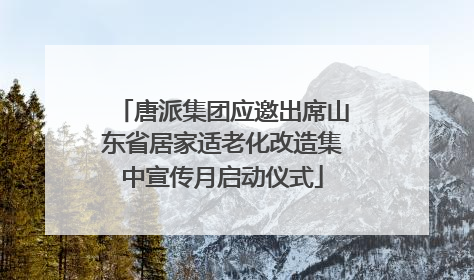 唐派集团应邀出席山东省居家适老化改造集中宣传月启动仪式