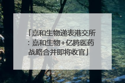 嘉和生物递表港交所：嘉和生物+亿腾医药战略合并即将收官