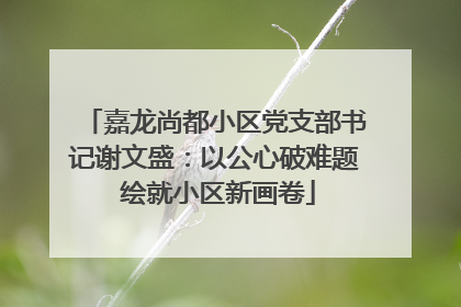 嘉龙尚都小区党支部书记谢文盛：以公心破难题 绘就小区新画卷