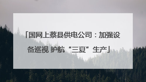 国网上蔡县供电公司：加强设备巡视 护航“三夏”生产