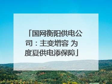 国网衡阳供电公司：主变增容 为度夏供电添保障