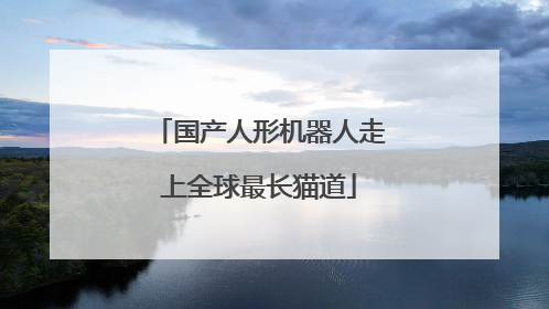 国产人形机器人走上全球最长猫道