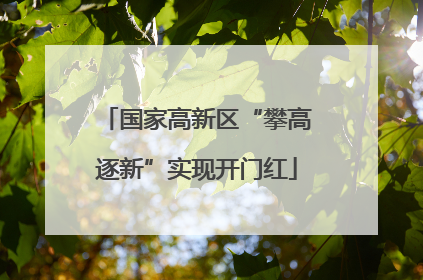 国家高新区“攀高逐新”实现开门红