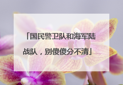 国民警卫队和海军陆战队，别傻傻分不清