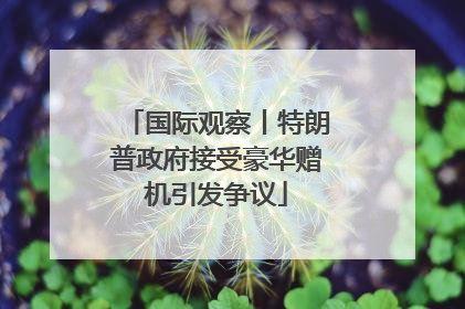 国际观察丨特朗普政府接受豪华赠机引发争议
