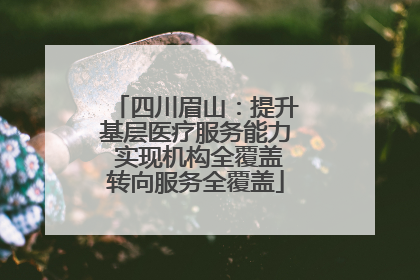 四川眉山：提升基层医疗服务能力 实现机构全覆盖转向服务全覆盖