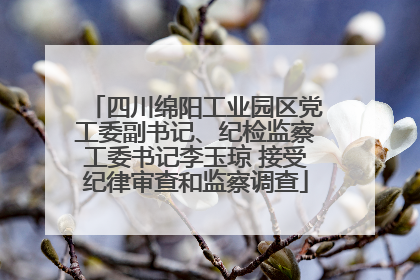 四川绵阳工业园区党工委副书记、纪检监察工委书记李玉琼 接受纪律审查和监察调查