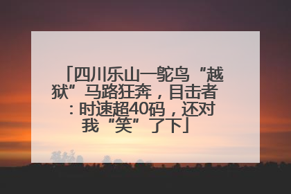 四川乐山一鸵鸟“越狱”马路狂奔，目击者：时速超40码，还对我“笑”了下