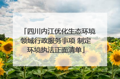 四川内江优化生态环境领域行政服务事项 制定环境执法正面清单