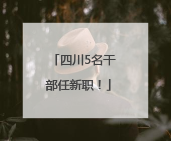 四川5名干部任新职！