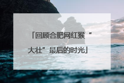 回顾合肥网红猴“大壮”最后的时光