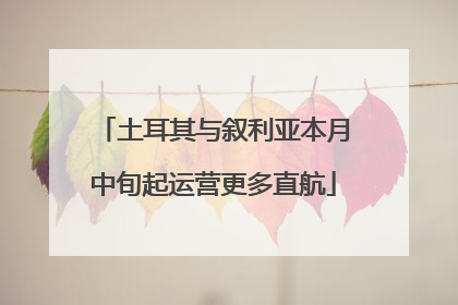 土耳其与叙利亚本月中旬起运营更多直航