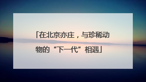 在北京亦庄，与珍稀动物的“下一代”相遇