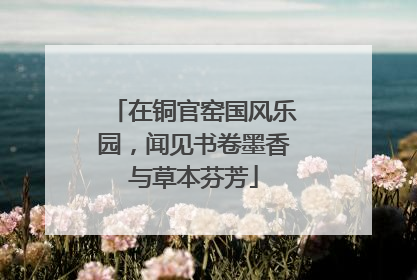 在铜官窑国风乐园，闻见书卷墨香与草本芬芳