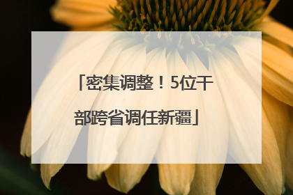 密集调整！5位干部跨省调任新疆
