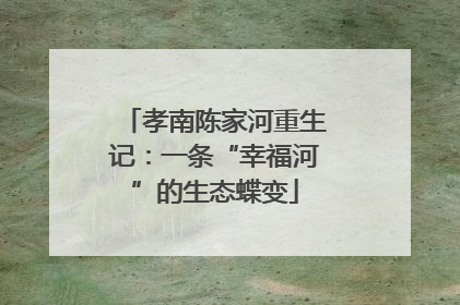 孝南陈家河重生记：一条“幸福河”的生态蝶变