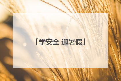学安全 迎暑假
