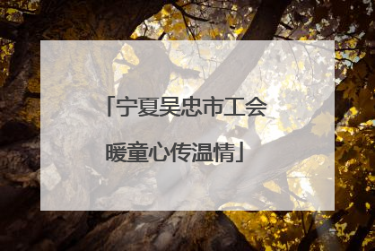 宁夏吴忠市工会暖童心传温情