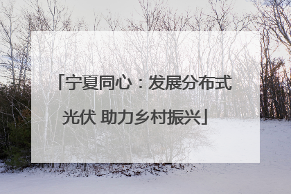 宁夏同心：发展分布式光伏 助力乡村振兴