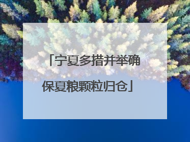 宁夏多措并举确保夏粮颗粒归仓