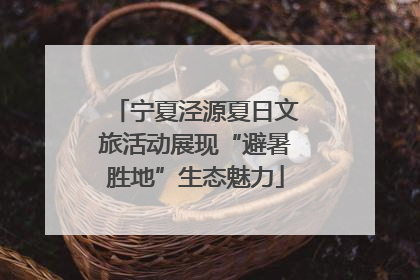宁夏泾源夏日文旅活动展现“避暑胜地”生态魅力