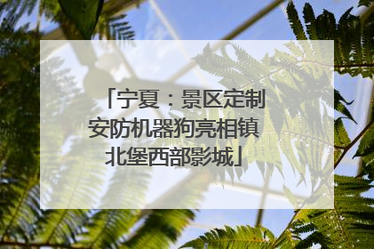 宁夏：景区定制安防机器狗亮相镇北堡西部影城