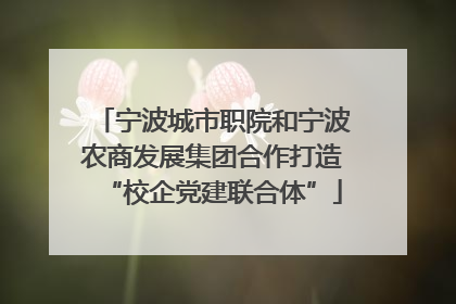 宁波城市职院和宁波农商发展集团合作打造“校企党建联合体”