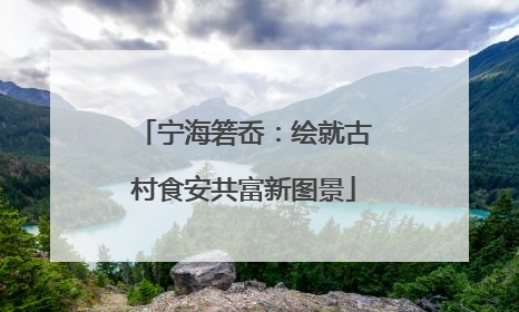 宁海箬岙：绘就古村食安共富新图景