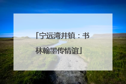 宁远湾井镇：书林翰墨传情谊