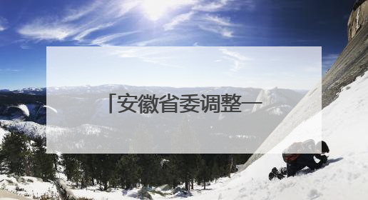 安徽省委调整一省属集团总经理