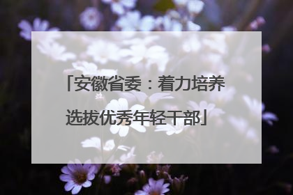 安徽省委：着力培养选拔优秀年轻干部