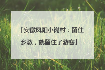 安徽凤阳小岗村：留住乡愁，就留住了游客