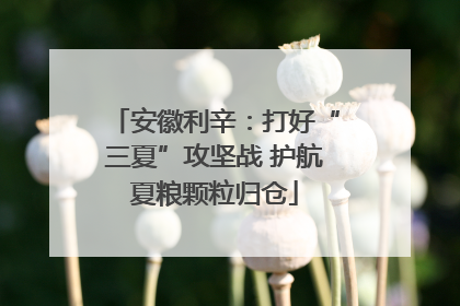 安徽利辛：打好“三夏”攻坚战 护航夏粮颗粒归仓
