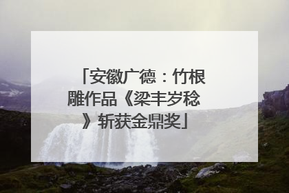 安徽广德：竹根雕作品《梁丰岁稔》斩获金鼎奖