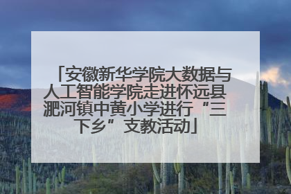 安徽新华学院大数据与人工智能学院走进怀远县淝河镇中黄小学进行“三下乡”支教活动