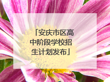安庆市区高中阶段学校招生计划发布