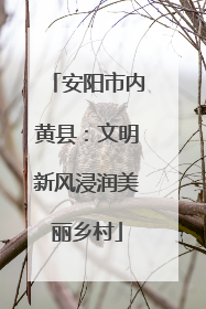 安阳市内黄县：文明新风浸润美丽乡村