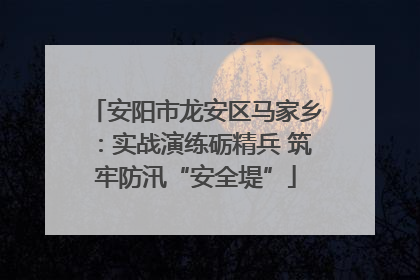 安阳市龙安区马家乡：实战演练砺精兵 筑牢防汛“安全堤”
