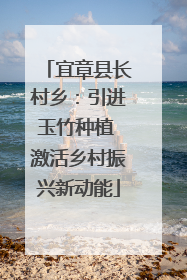 宜章县长村乡：引进玉竹种植 激活乡村振兴新动能