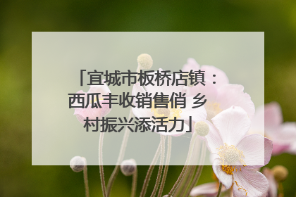 宜城市板桥店镇：西瓜丰收销售俏 乡村振兴添活力