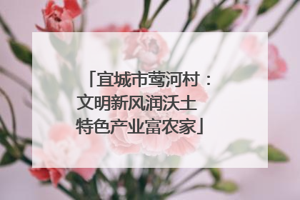 宜城市莺河村：文明新风润沃土 特色产业富农家