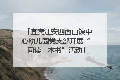 宜宾江安四面山镇中心幼儿园党支部开展“同读一本书”活动