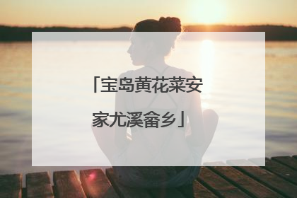 宝岛黄花菜安家尤溪畲乡